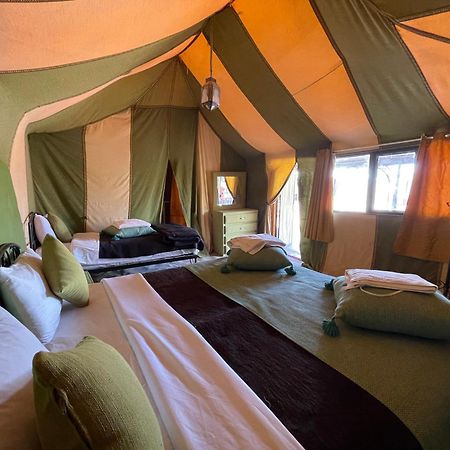 Roses Desert Camp 梅尔祖卡 外观 照片